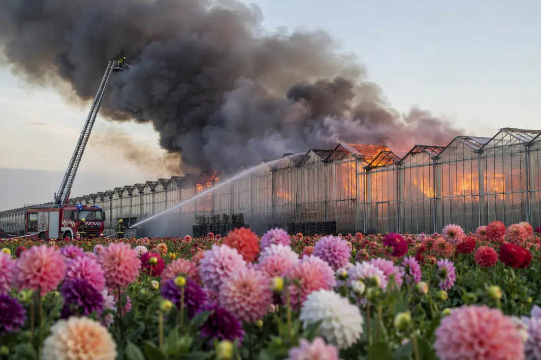 Brand in grote kas met dahlia's in Hoek van Holland, twee personen met rookvergiftiging